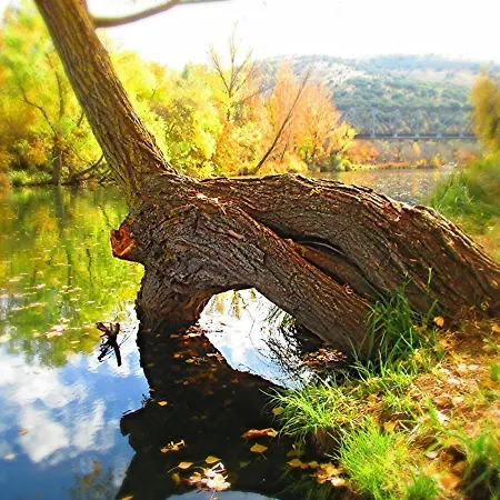 El Balcon De San Juan * Soria
